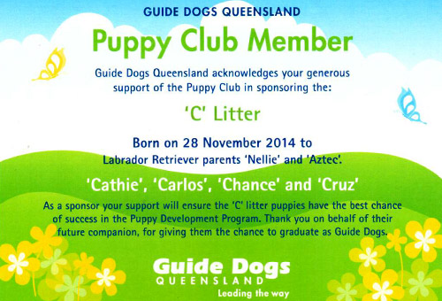 LASERSIGHT sponsors Guide Dogs Queensland