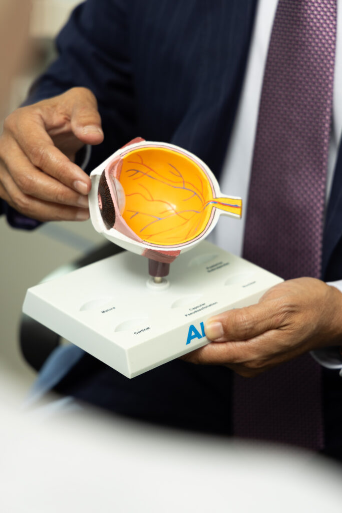 A person in a suit holds a cross-sectional model of a human eye, showing internal structures like the retina and optic nerve, likely explaining eye anatomy or medical information.