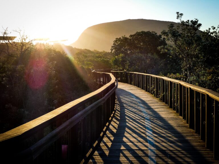 A wooden walkway curves through lush greenery towards sunlit Mount Coolum in the background, with long shadows and sun rays creating a warm, inviting atmosphere—perfect for exploring with LASERSIGHT precision.